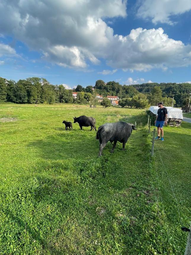 Glamping - Stylova Maringotka V Srdci Ladova Kraje, Pobliz Hlavniho Mesta Prahy Stribrna Skalice Exterior foto
