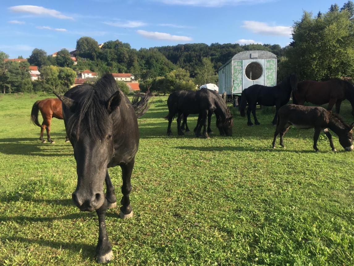Glamping - Stylova Maringotka V Srdci Ladova Kraje, Pobliz Hlavniho Mesta Prahy Stribrna Skalice Exterior foto