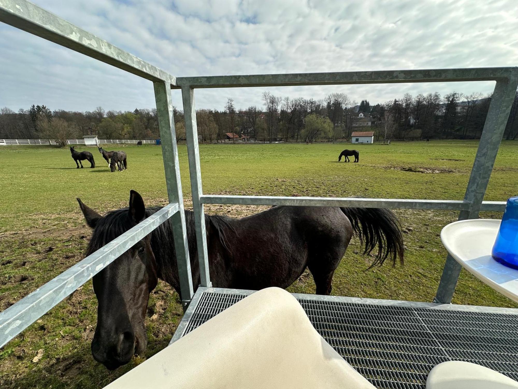 Glamping - Stylova Maringotka V Srdci Ladova Kraje, Pobliz Hlavniho Mesta Prahy Stribrna Skalice Exterior foto